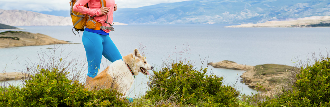 10-essential-tips-when-hiking-with-your-dog