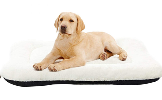anwa washable dog bed