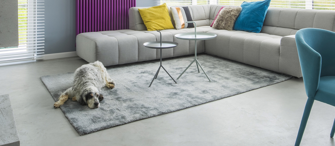 best-area-rugs-for-dogs