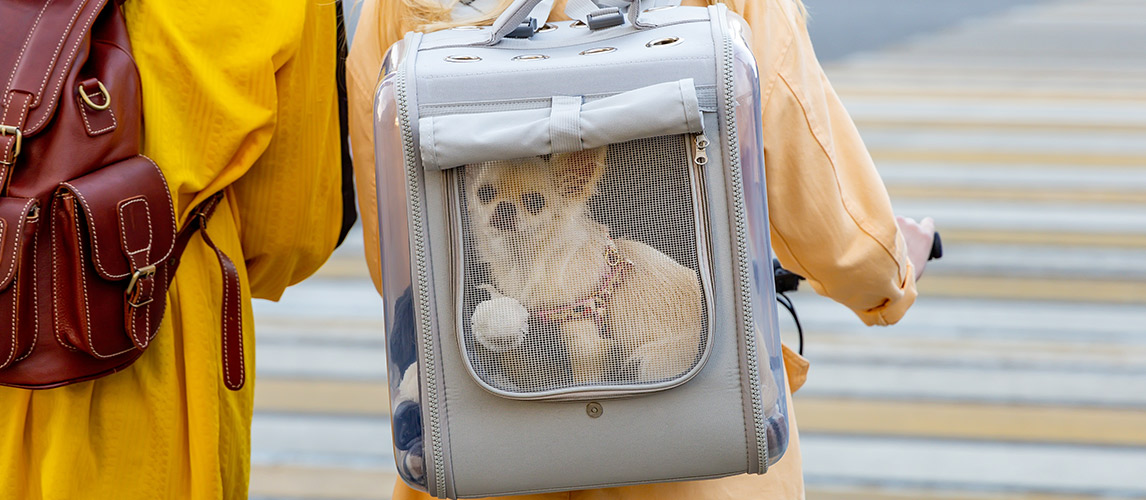 Best-Dog-Backpack-Carrier