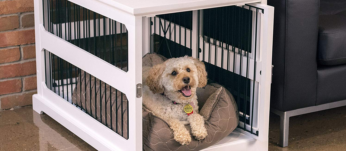 best-dog-crate-end-table