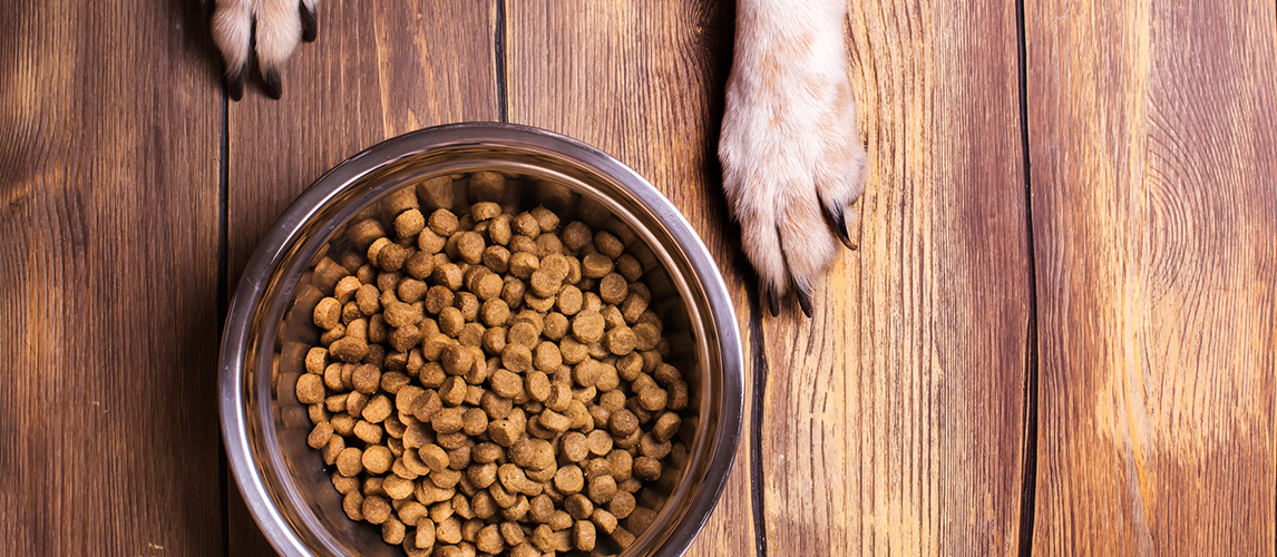 Best-Dog-Food-for-Weight-Loss