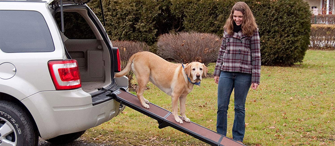 Best-Dog-Ramps-for-Your-Pooch-2