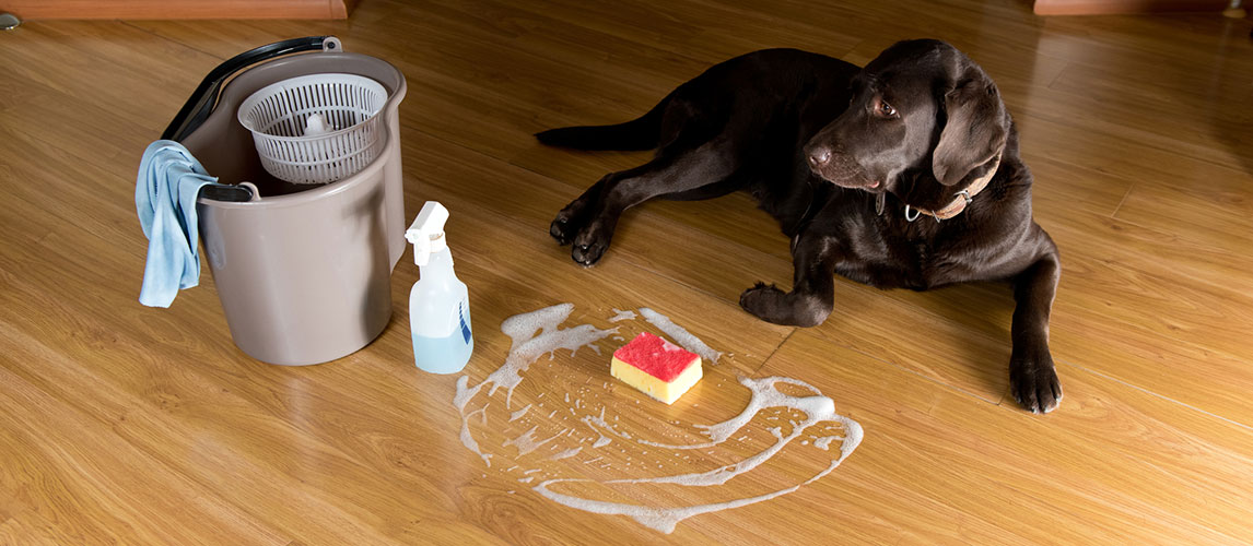 Best-Pet-Safe-Floor-Cleaners