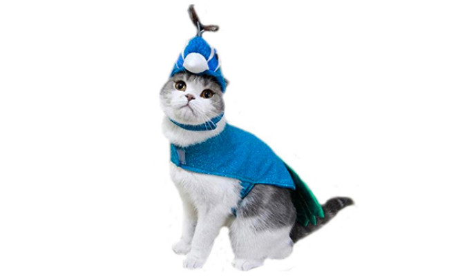 Bro'Bear Pet Peacock Costume with Hat