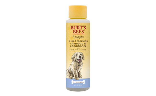 Burt’s Bees 2 in 1 Shampoo and conditioner