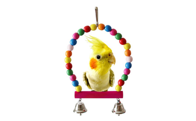 BWOGUE Bird Parrot Toys