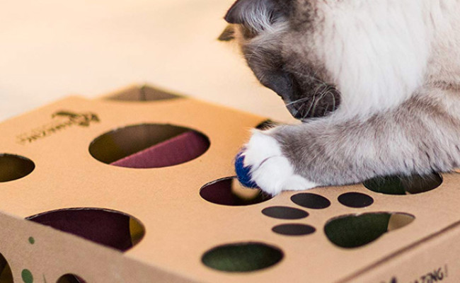 Cat Amazing Interactive Treat Maze & Puzzle Feeder