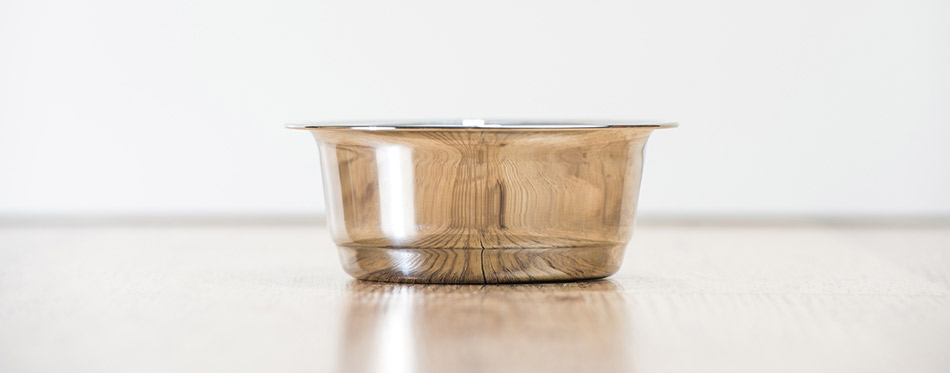 Cat water bowl on wooden floor