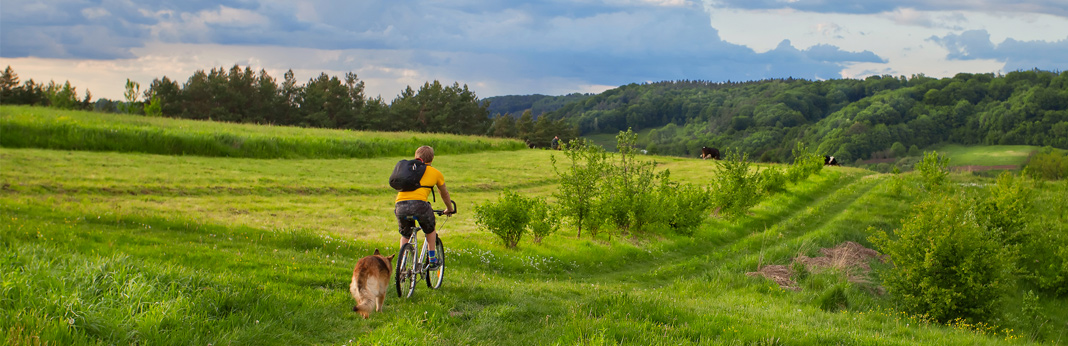 do’s-and-don’ts-for-mountain-biking-with-a-dog