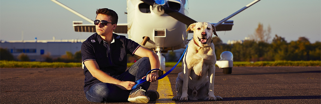 everything-you-need-to-know-about-flying-with-pets