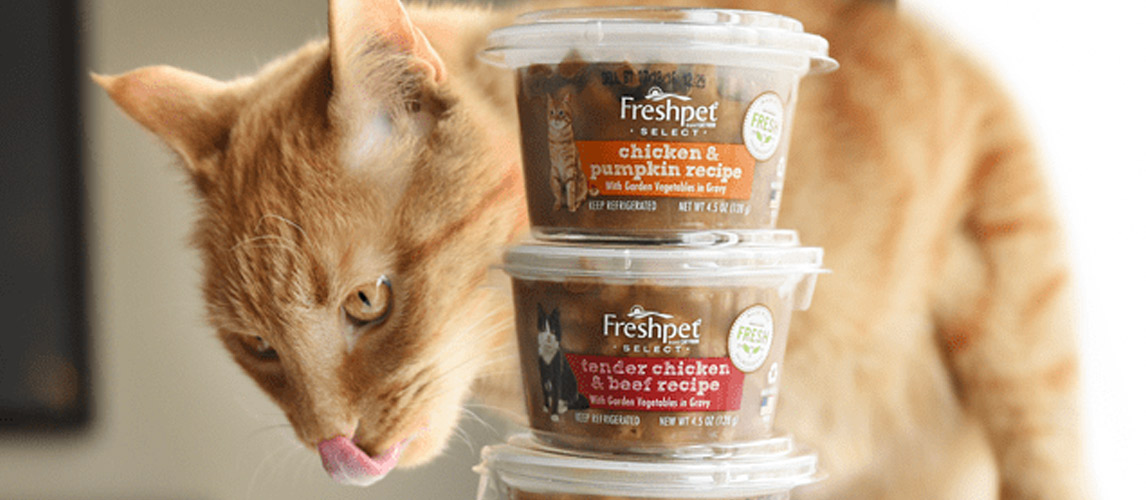 Freshpet-Cat-Food-Review
