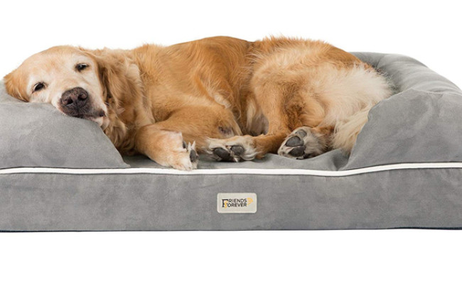 friends forever washable dog bed