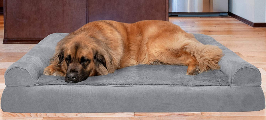FurHaven Plush & Suede Orthopedic Sofa & Dog Bed