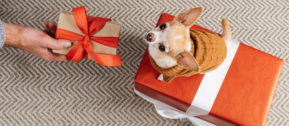 gifts-for-dog-owners