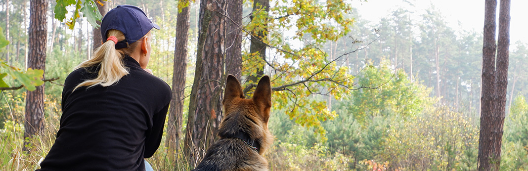 Guard Dog Training - How to Train Your Dog to Protect You