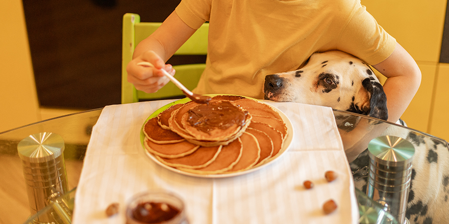 Handsome cheerful boy eats pancakes with chocolate pasta for breakfast whith dog.