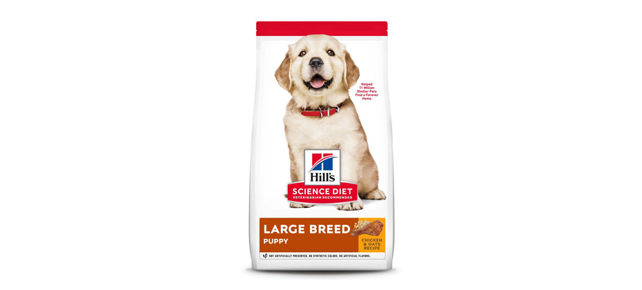 Hill's Science Diet Puppy Large Breed Dry Food