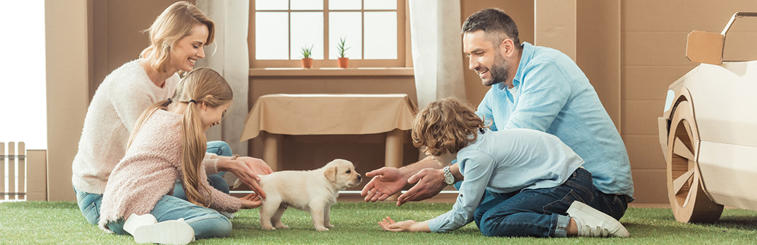 How to Convince Your Parents to Get a Dog: Tips for a Successful Conversation