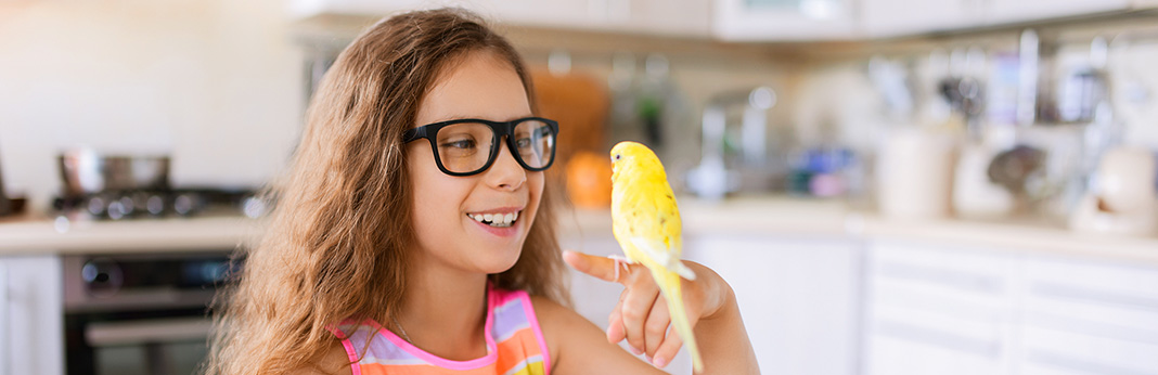 How-to-Tame-a-Parrot—Dos-and-Don’ts-to-Gain-Your-Bird’s-Trust