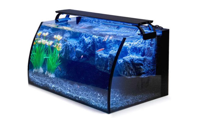 Hygger Horizon LED Glass Aquarium Kit