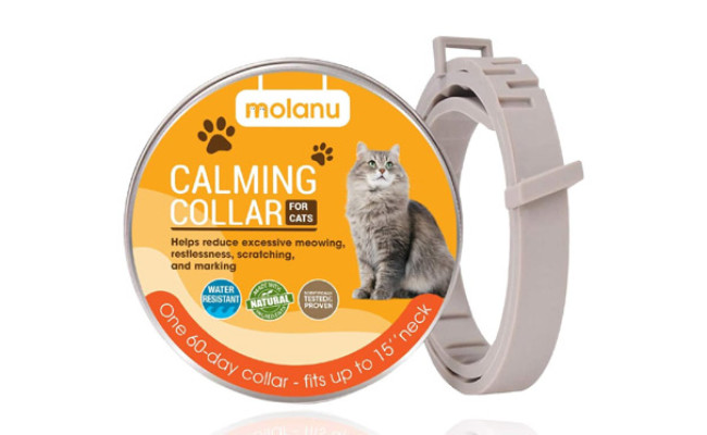 MOLANU Cat Calming Collar for Cats