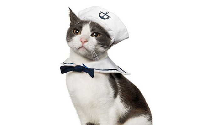 Namsan Cat Sailor Costume