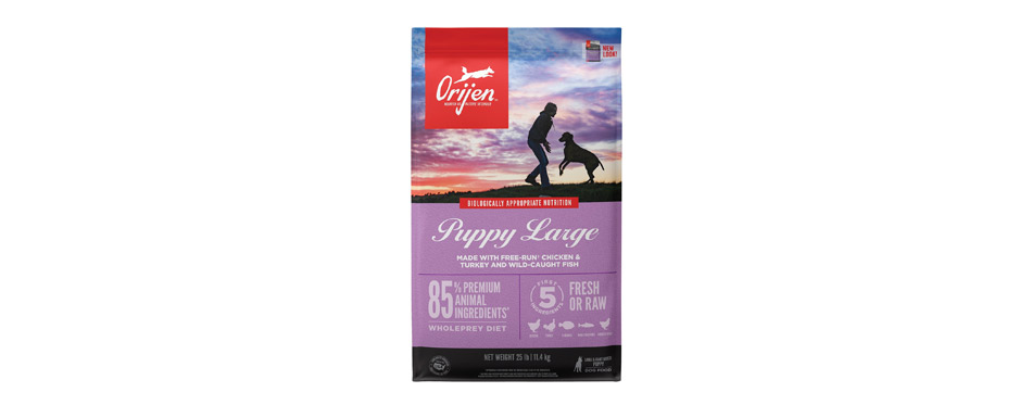 Best for Puppies: ORIJEN Puppy Large Dry Dog Food