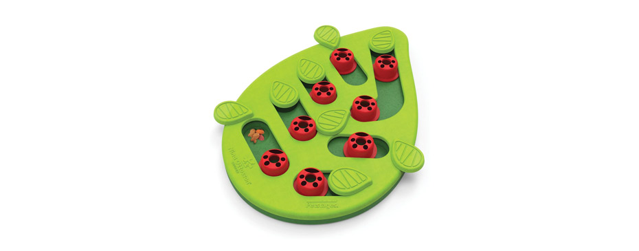 Best Cat Puzzle Toy: Petstages Buggin' Out Puzzle & Play Cat Toy
