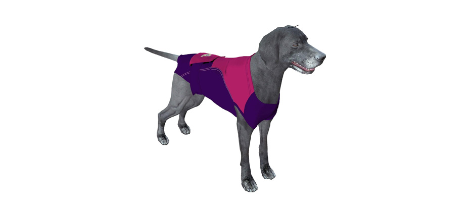 Surgi Snuggly Wonder Suit Post Surgical Healing Dog